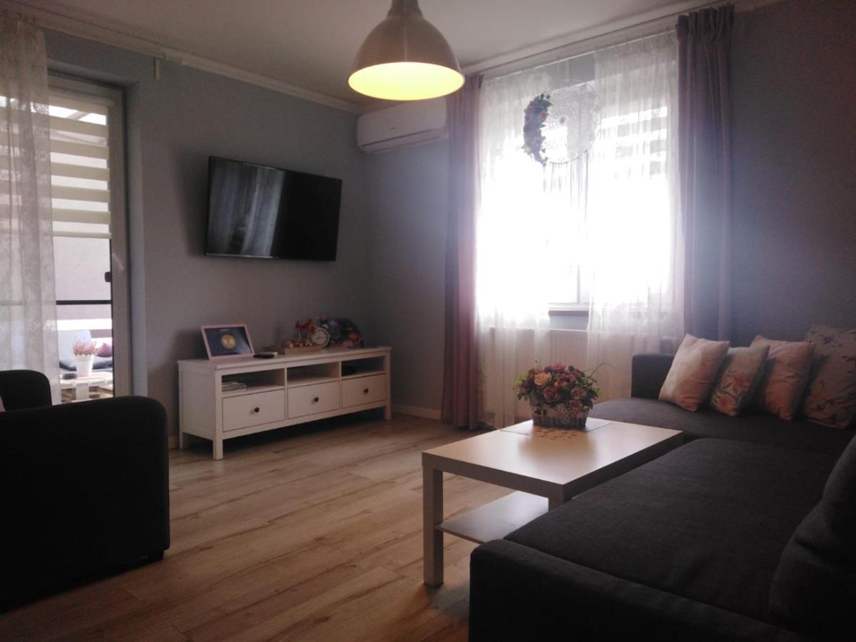 Apartament Antek klimatyzowany Oświęcim Kültér fotó
